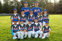AA METS