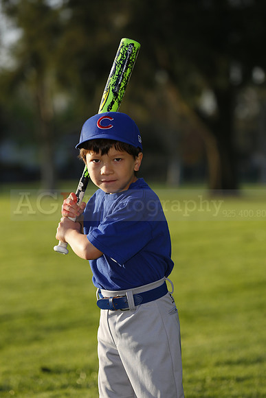 FarmCubs026