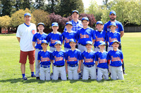 AAA CUBS