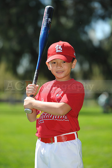 A_Cardinals088