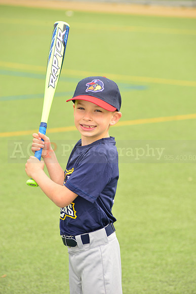 SB_TB_mudhens00008