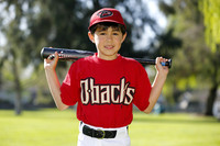 FMDBacks012
