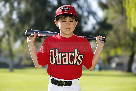 FMDBacks012