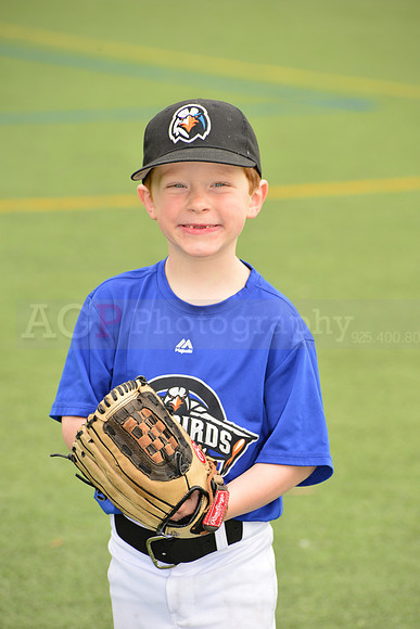 SB_TB_Ironbirds00026