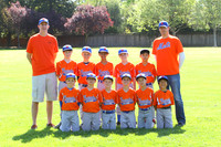 AA METS