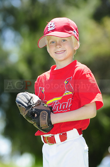 FarmCards043