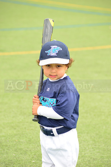 SB_TB_Raptors00190