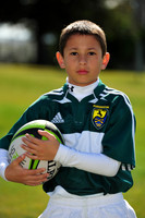 PCRFCU12013