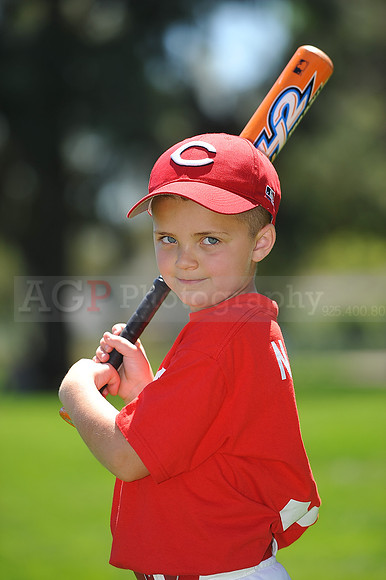T-Ball_Reds040