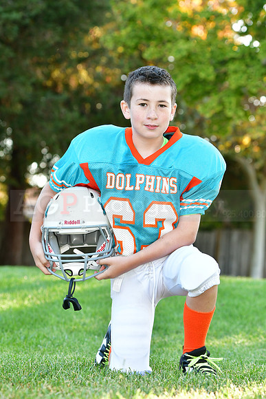 Dolphins104