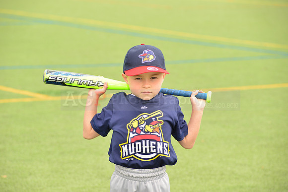 SB_TB_mudhens00074