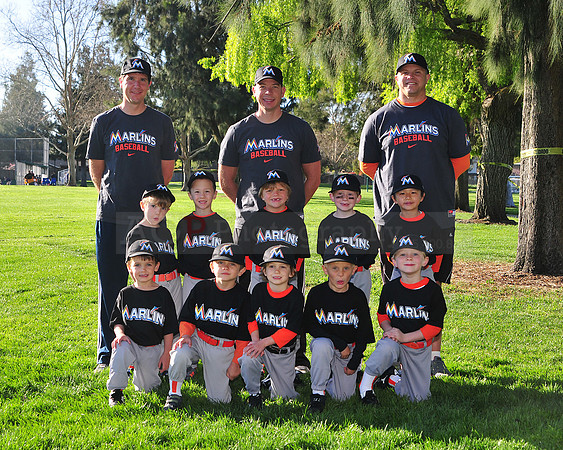 TBMarlins065