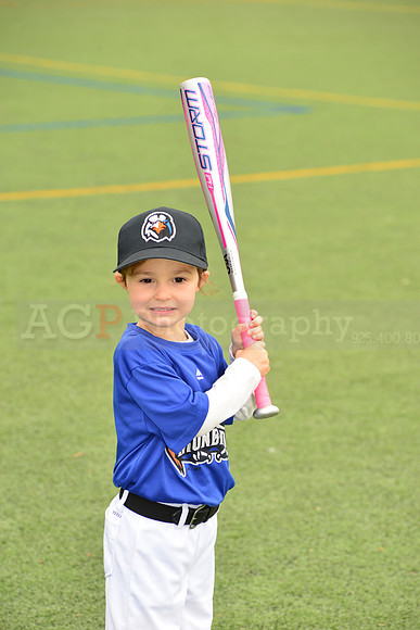 SB_TB_Ironbirds00021