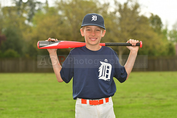 AATigers074