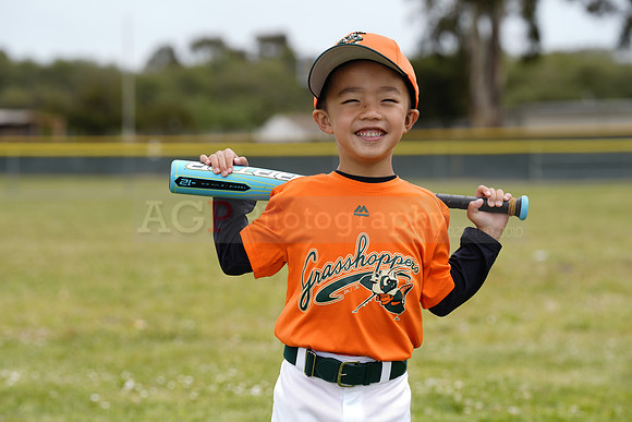 TBGrasshoppers00033