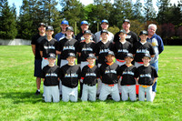 MAJOR MARLINS