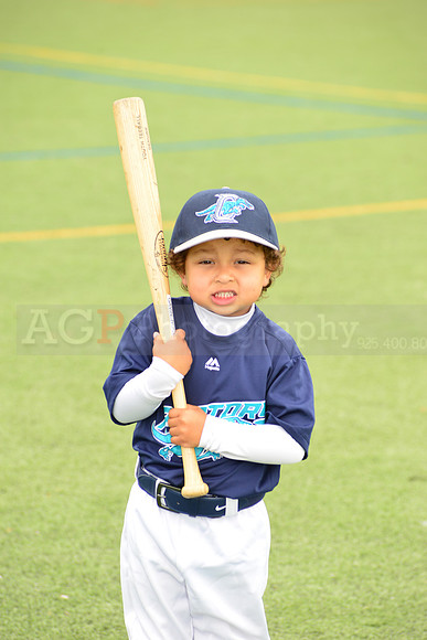 SB_TB_Raptors00107