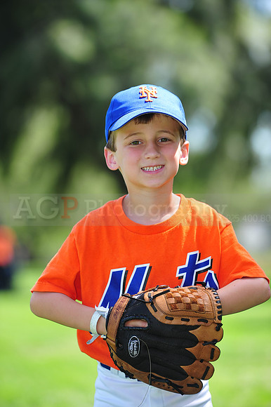 Farm_Mets080