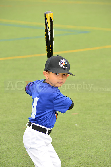 SB_TB_Ironbirds00080