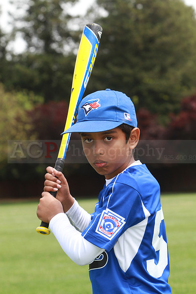 AABlueJays0052