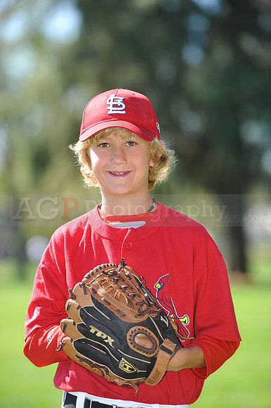 AA_Cardinals012