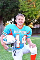 Dolphins006