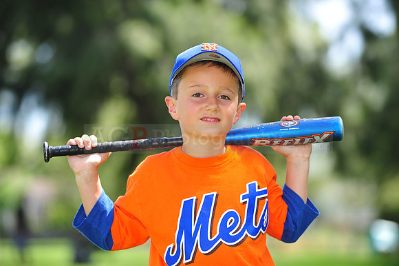 Farm_Mets110