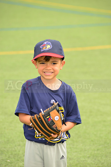 SB_TB_mudhens00056