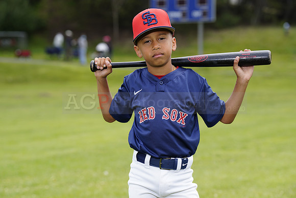 PWRedSox00113