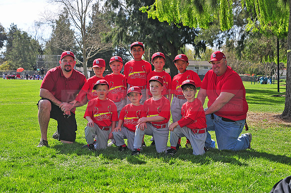 TBCardinals035