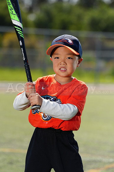 SB_TBALL_HotRods120