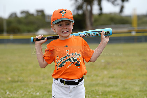 TBGrasshoppers00051