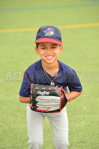SB_TB_mudhens00014