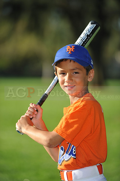 A_Mets020