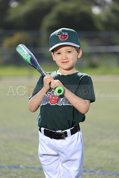 SB_TB_TinCaps006