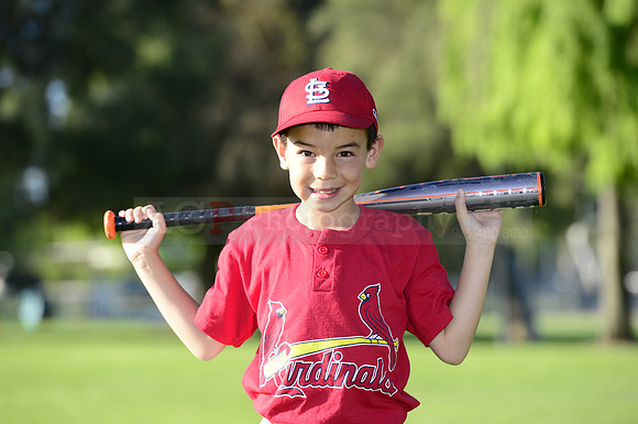 AACardinals056