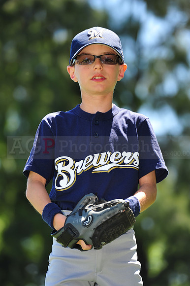 AA Brewers085