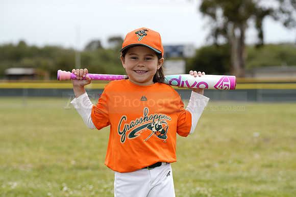 TBGrasshoppers00074