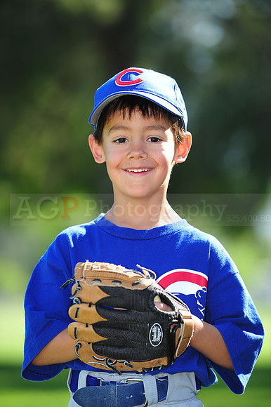 Farm_Cubs111