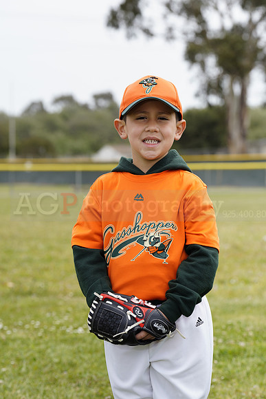 TBGrasshoppers00001
