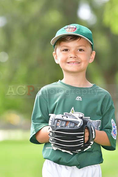 TBTincaps076