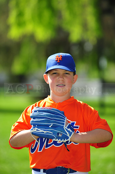 AA METS019