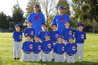 FARM CUBS