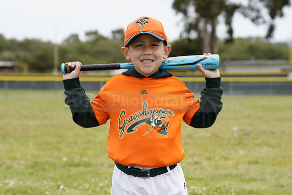 TBGrasshoppers00011