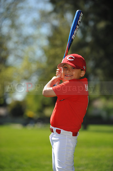 Farm_Reds090