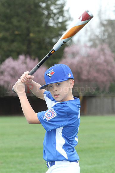 AAABlujays005