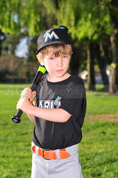 TBMarlins041