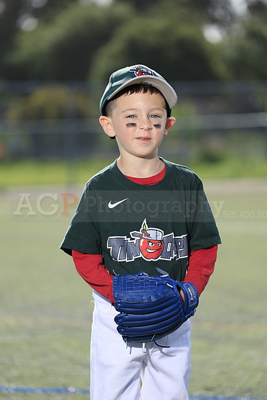 SB_TB_TinCaps028