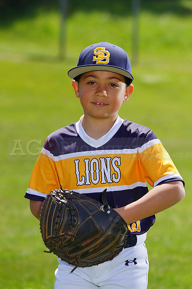 SB_PW_Lions030