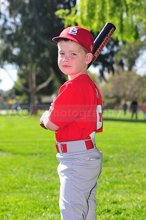 TBCardinals024